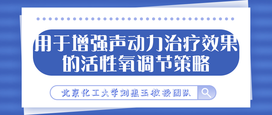 北京化工大学刘惠玉教授团队：用于增强声动力治疗效果的活性氧调节策略