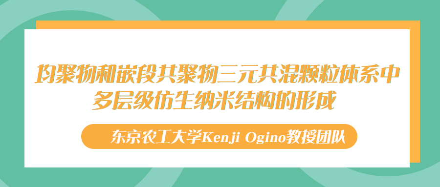 东京农工大学Kenji Ogino教授：均聚物和嵌段共聚物三元共混颗粒体系中多层级仿生纳米结构的形成