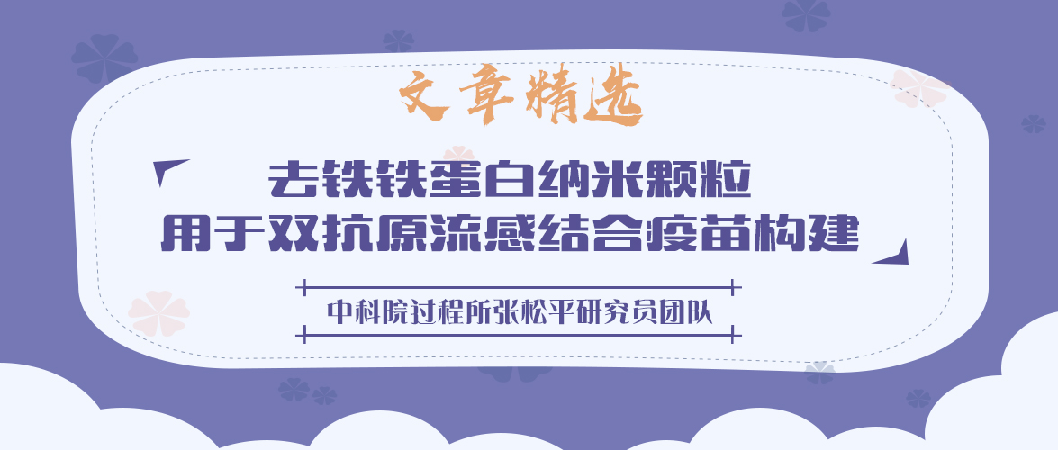 中科院过程所张松平研究员团队：去铁铁蛋白纳米颗粒用于双抗原流感结合疫苗构建