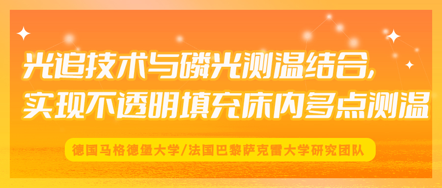 光追技术与磷光测温结合，实现不透明填充床内多点测温