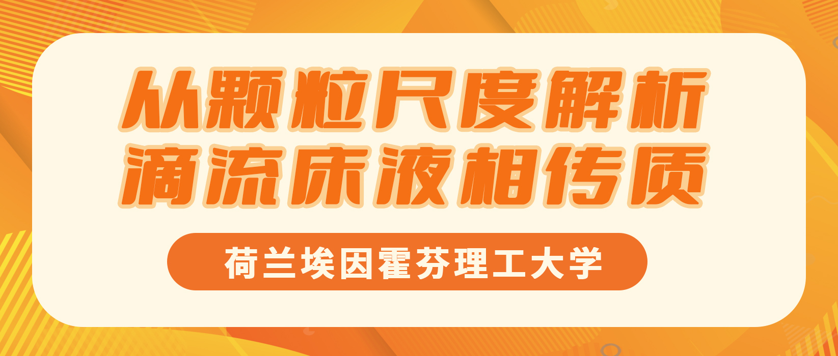 荷兰埃因霍芬理工大学：从颗粒尺度解析滴流床液相传质