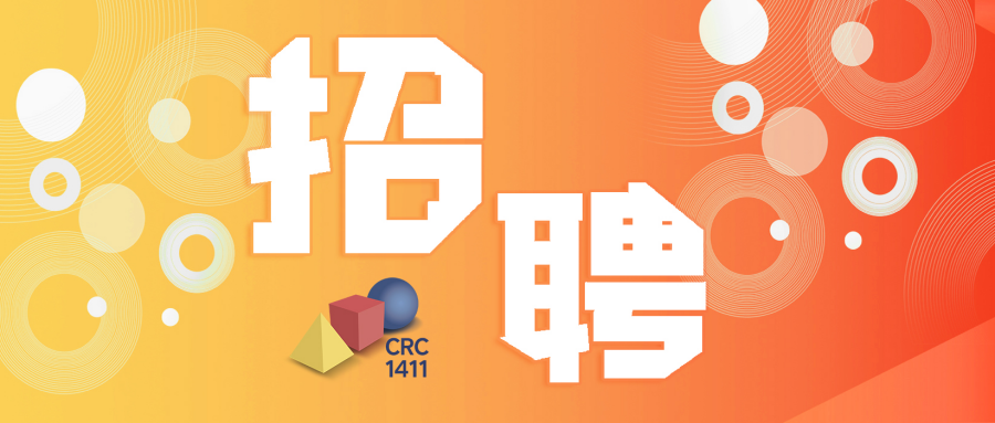 德国CRC 1411项目招聘Doctoral Researchers